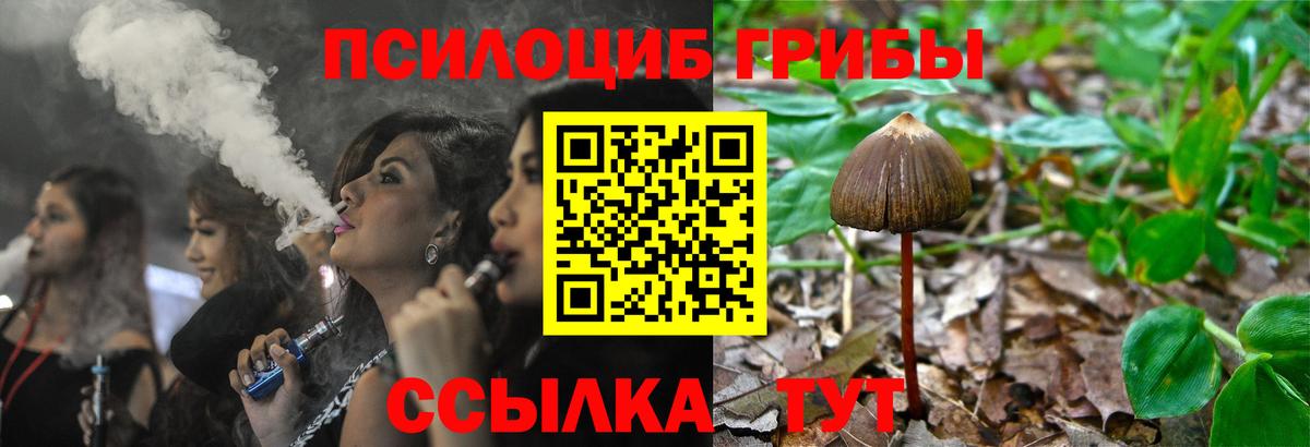Железногорск  Галлюциногенные грибы Magic Shrooms  Вход с VPN 